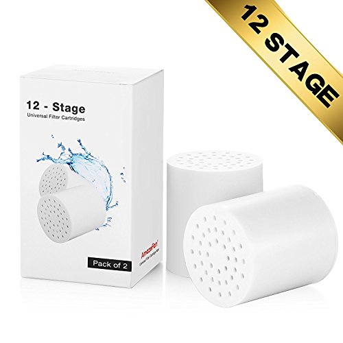 Pack of 2, 12-Stage Replacement Shower Water Filter Cartridges with Vitamin C