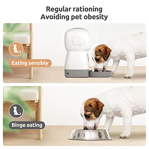 KutoraWorks Automatic Cat Feeder, Dog Food Dispenser with Rotary Lock Lid, Visual Window, Memory Function, Voice… - Image 3