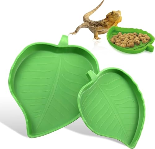y2Zbg z঒ M a H ݏɂ P[X XANZT[ T  gJQ N T\  tB[fBOfBbV EH[^[fBbV Yň gՂ Reptile Leaf Food Water Bowl
