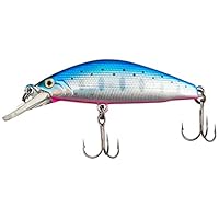 スミス(SMITH LTD) ミノー 計12個 Amazon | スミス(SMITH LTD) ミノー D-コンセプト48MD 48mm 5g