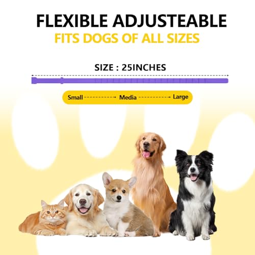 Image of 5 Pack Calming Collar for Dogs, Dog Pheromone Calm Collars Relief Anxiety Stress Separation Lasts 60 Days Relieve Bad Behavior, 25 in Size for All Small Medium and Large Dog (Purple)