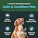 VetriScience Veterinary Strength Calm & Confident Chews - Stress Supplement for Pets - Supports Brain Function for Cats & Dogs - with L-Theanine, Thiamine & More - 60 Count