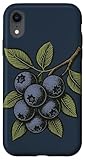 Wild Meadow Illustrations