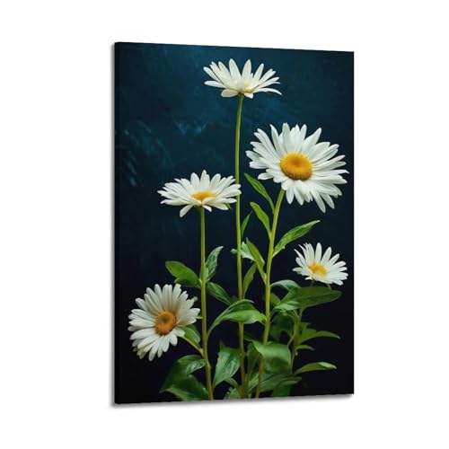 Poster marguerites Shasta 40x60cm tableau noir