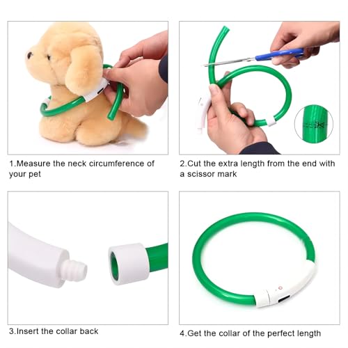LED Leuchthalsband für Hund - Wasserdicht mit 3 Beleuchtungsmodi - USB Aufladbar - Einstellbare Länge für Kleine und Große Katzen