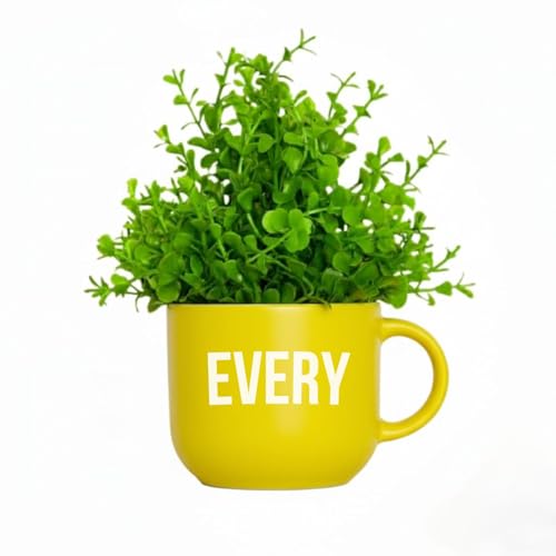 Image of Dekorly Colorful Wall-Mounted Mug Planters with Faux Greenery(20 CM)- Wall Decorative Pots for Vibrant Home & Office Decor| (3, Stronger Every Day)
