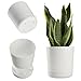 Produktbild KADAX Blumentopf mit Untersetzer, Pflanzentopf aus Kunststoff, Minimalistischer Pflanzkübel, Dekorativer Topf für Blumen, Kakteen und Kräuter (20cm, Weiß)