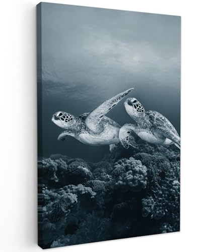 Tableaux décoratifs muraux de tortue marine pour salon moderne et cocooning