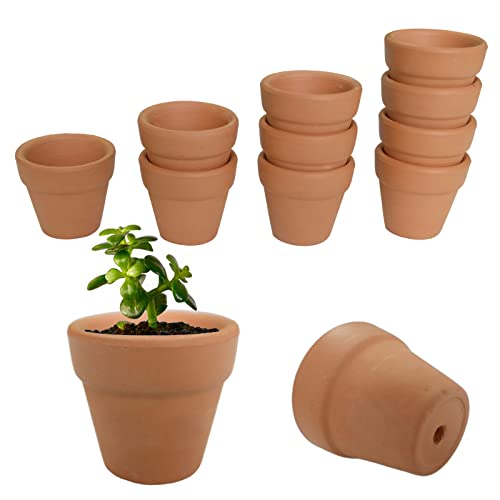 Molyorch 12 Piezas Maceteros de Terracota, Pequeñas Macetas de Arcilla Macetas de Terracota, para Plantas Semillas, Cactus, Escritorio Oficina Regalo (3 * 3cm)