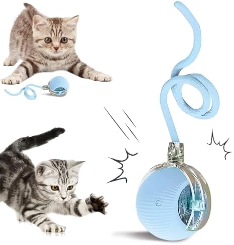 Interactive Cat Toys for Indoor Cats, 2025 New Smart Interactive ...