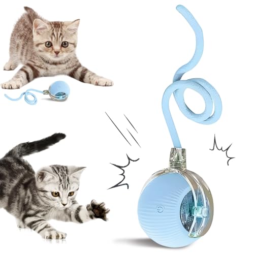 Interactive Cat Toys for Indoor Cats, 2025 New Smart Interactive ...