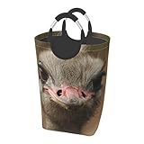 Cesta de lavandería plegable para espacios pequeños: diseño plegable (se agita para su uso, se pliega para almacenar) hace que esta bonita cesta plegable con estampado de avestruz sea perfecta para dormitorios, apartamentos o viajes, sin desperdiciar espacio en áreas de estar compactas.