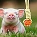 Mini Pig Supplies, 3 Pack Treat Dispenser Ball Toys for Pigs, Plastic Food Foraging Ball with Rope for Pigs, Pig Toys for Pet Pig