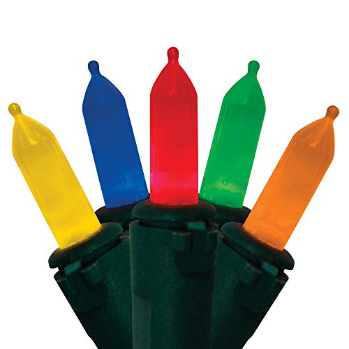 Image of Brite Star 50 Lt Warm Glow Traditional Mini LED Lights, Multi, Green Wire