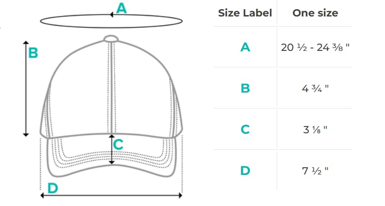 Gorra Dad Hat Bordada Pennsylvania PA miniatura 5