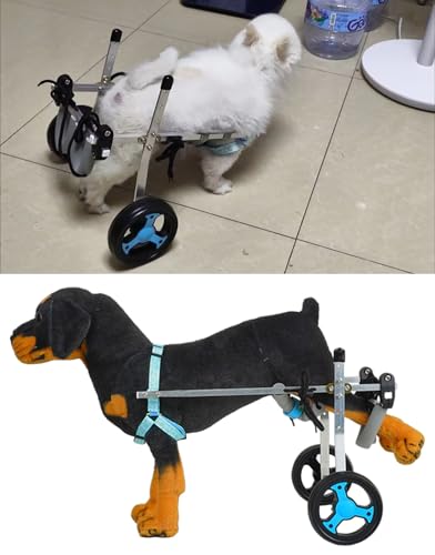 Fauteuil roulant pour chiens à deux roues stabilité des hanches