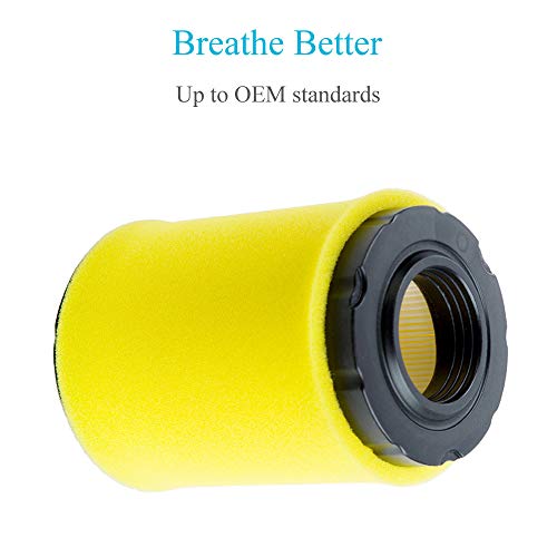 Hoodell 796031 Air Filter With Tune Up Kit, Compatible With Briggs And Stratton 591334 492932 696854, John Deere D100 D110 D125 D130, Husqvarna Yth22V46, Lawn Mower Oil Filter #TOP1