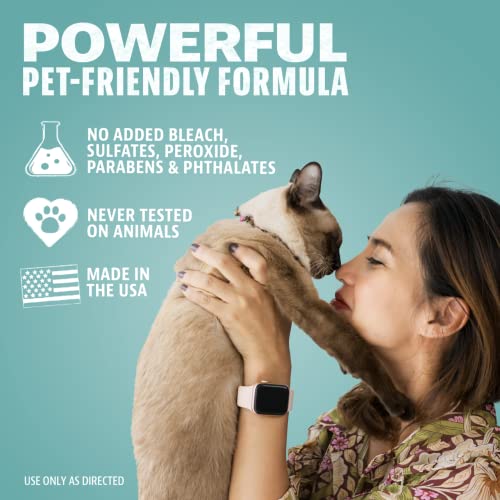 Angry Orange Cat Urine Odor Eliminator & Pet Stain Remover - Carpet Cleaner For Pets, Fresh Scented Cat Urine Deodorizing Spray And Enzyme Cleaner For Home Use #TOP5