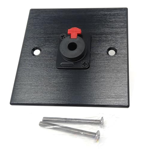 Placa de 6,35 mm frontal de pared en aluminio con tornillos para tomas serie D 4