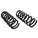 MOOG 81769 Coil Spring Set for Jeep Grand Cherokee