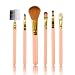 Makeup Brush Set,6 Piece Collection with Blush Brush,Luismia Light Blue/Pink Premium Synthetic Bristle Eyeshadow Brush,Lip Brush,Sponge Tip Applicator,Lash Curler,Eyebrow Sharper(Random Color)