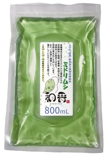 和香 ミドリムシ ユーグレナ 800ml メダカ 稚魚 グリーンウォーター ゾウリムシ ミジンコ 自由研究 栄養価