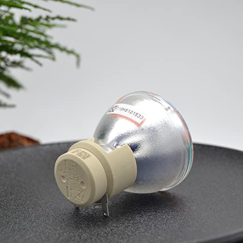 Lampe P-VIP 240/0.8 E20.8 haute luminosité pour projecteur - 2