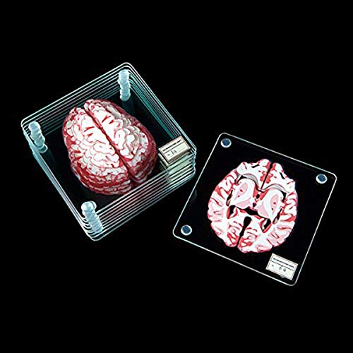 Unbekannt Brain Specimen - Set da 10 Pezzi