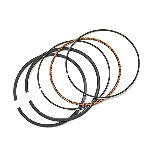 JTLKL250 KL 250 1997-2010̂߂̃I[goCGWsXgO72mm STD