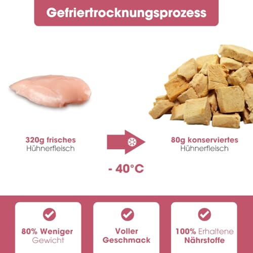 KAUDAS HühnerherzenPur Natursnack – 5 x 60 g gefriergetrocknetes Hühnerherzen Leckerli Hund mit hohem Proteingehalt, 100% natürlicher Hundesnack je 286g Rohgewicht – ohne Zucker & Zusatzstoffe