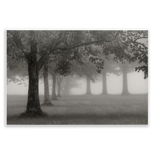 Foggy Trees Field Monochrome, 13 x 19 Inch Mounted Print on Wall Plaque