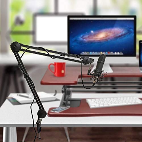 Axcessables Large Heavy Duty Desk Mounted Microphone Boom Stand With 3.3Ft Extension And 6Ft Xlr Cable | 5Lb Capacity | Podcast Boom For Large Condenser Mic | Desktop Boom Mic Stand #TOP6