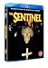 Produktbild The Sentinel [Blu-ray] [2021]