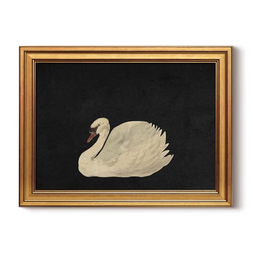 Image of HUARCEY Gold Framed Vintage Wall Art for Living Room, Grace Swan Art Painting Pictures Rustic Animal Bathroom Prints Farmhouse Wall Decor Canvas Swan Shelf Decor for Kitchen Bedroom (Zwaan 12 inchx16 inch)
