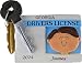 Driver's License Personalized Christmas Ornament - Male - Brown Hair - Handpainted Resin - 2.75" Tall - Free Customization by Calliope Designs