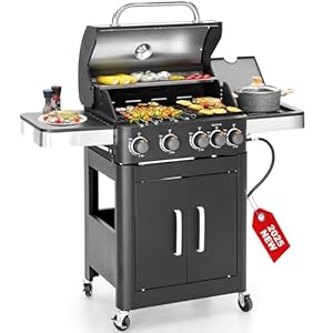 2 in 1 Propane Gas BBQ Grill with S...
