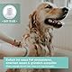 AniForte Fellharmonie Hundeshampoo Sensitiv mit Aloe Vera 200ml – Für leicht kämmbares Fell & Vitale Haut, Pflegeshampoo für Sensible Hunde, frei von Farbstoffen & Parfum