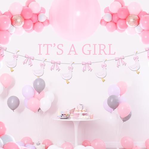Image of TaoBary Pink 2 Set Bow Silly Goose Birthday Banner Silly Goose Party Decoration for Farm Animal Baby Shower Birthday Party Decorations