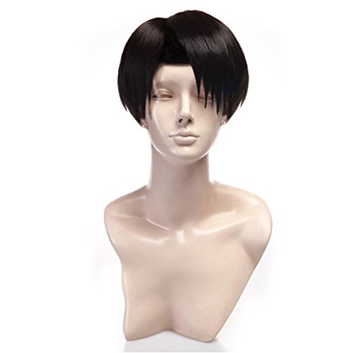 Yesui Cosplay Wig Synthetic Wigs Heat Resistant Cosplay Black Wig 12'' Straight Hair Short