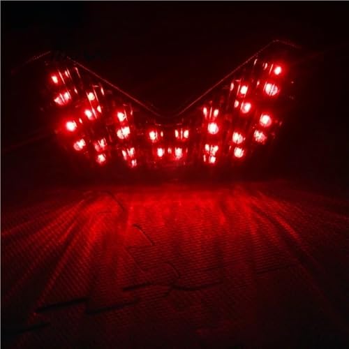 Luces advertencia señal giro para rutas nocturnas seguras en moto ZX14 R 06-09 7