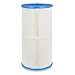 Pureline 56 Sq Ft Pool Replacement Cartridge Filter, 1 Each, Compatible with Hayward CX480RE, Swimclear C2020, and 2025