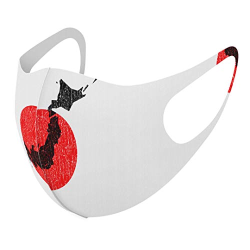 [X}R] fUC }XN QZbg |GXe 􂦂 z}XN XLTCY 傫 jp 013273 { n} ̊