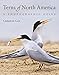 Terns of North America: A Photographic Guide