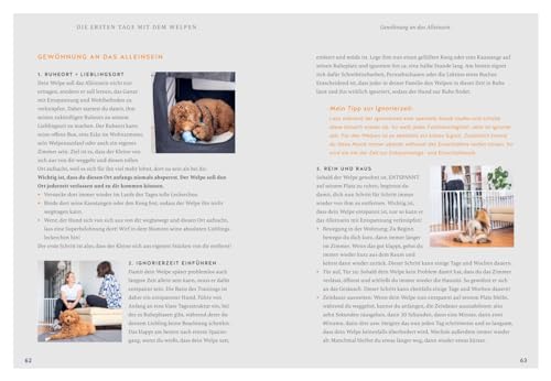 Der Welpen-Alltags-Helfer: Erziehung, Training und Probleme souverän meistern - stressfrei durch die erste Zeit mit jungem Hund (GU Welpen)