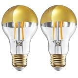 TORCHSTAR Dimmable Half Chrome Light Bulb...