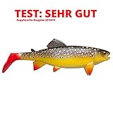 MERKMALE: Länge in cm 23. Inhalt pro Pack 1. Farbe Brown Trout
