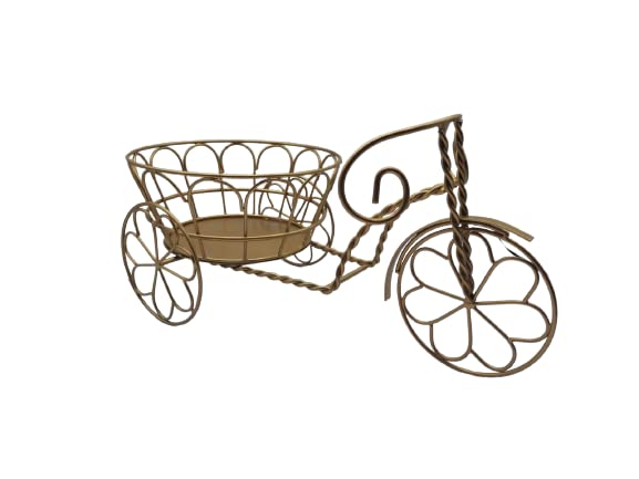 Puja N pujari metal bicycle planter stand, cycle stand for plants with 1 Metal Pots Stand for Plants Balcony Garden Home Decoration | Cycle Stand for Indoor and Outdoor Living Room, Table, Desk, Office - ‎Beige color, Size: Medium (38cm x 20cm x 14 (B0BXH651NH) Amazon Price History, Amazon Price Tracker