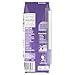 Silk Soy Milk, Very Vanilla, 8 Fluid Ounce (Pack of 12)