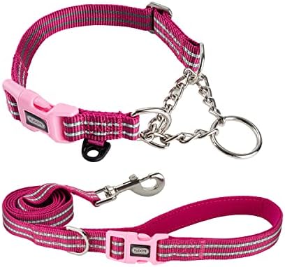 Petiry Metal Chain Dog Collar Reflective Nylon Choke Collar with Safety Quick Release Buckle,Escape-proof Anti-pull for Small Dogs Neck 28-33cm(Black,Small)