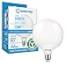 Shanyao-Basics lampadina Globo LED G95 18W (sostituisce 120W) con attacco E27, 1602 lumen, Non dimmerabile, luce Fredda-6400K, angolo luce 240 gradi Alta Potenza,Confezione da 1.